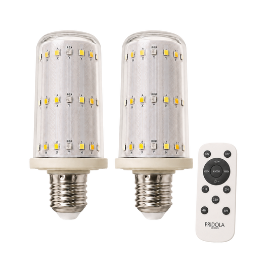 WIRELESS RECHARGEABLE  LIGHT BULBS PRO (SET OF 2)
